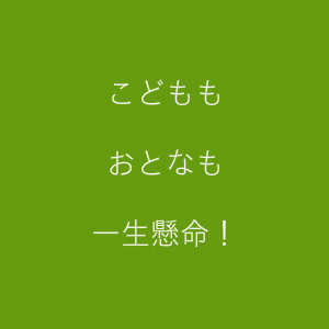 豊川市のイベント