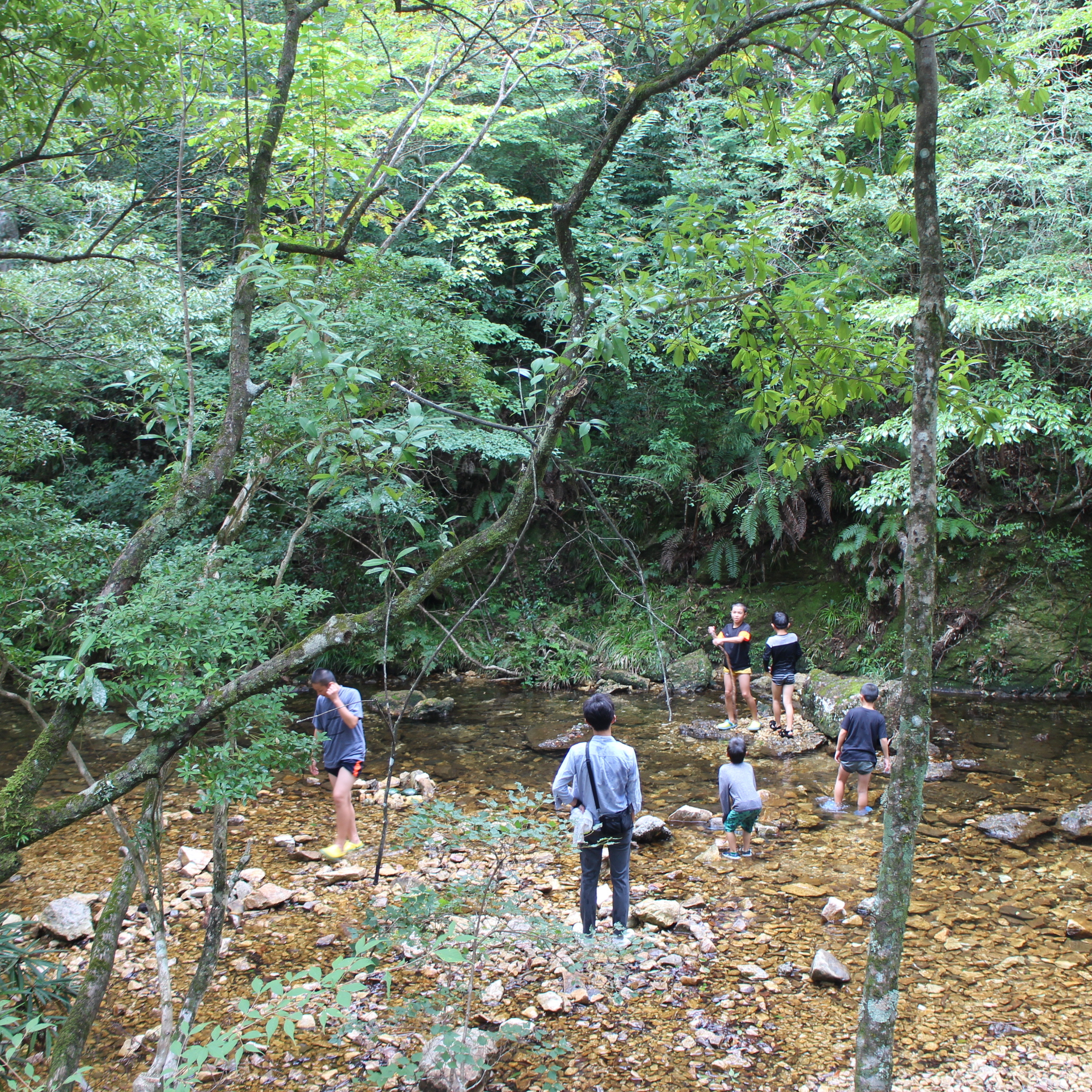 豊川市のイベント