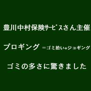 豊川市 イベント