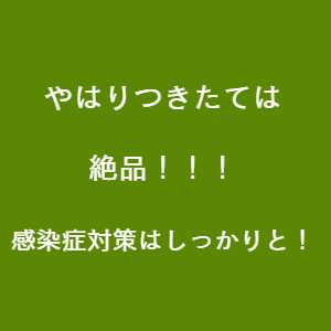 豊川市 イベント