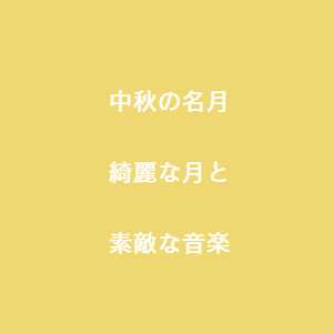 豊川市 イベント