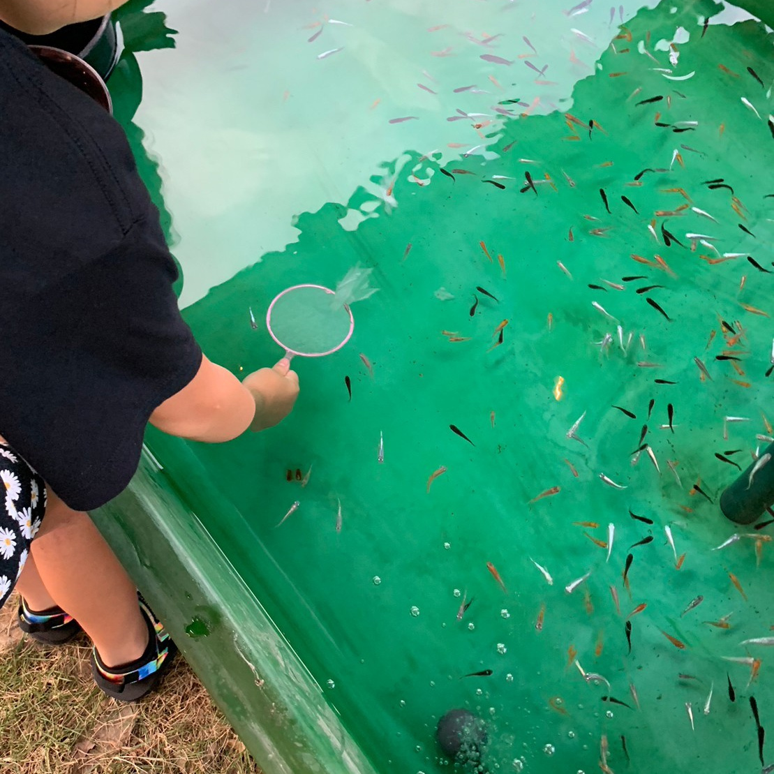 豊川市 よりんdeナイト