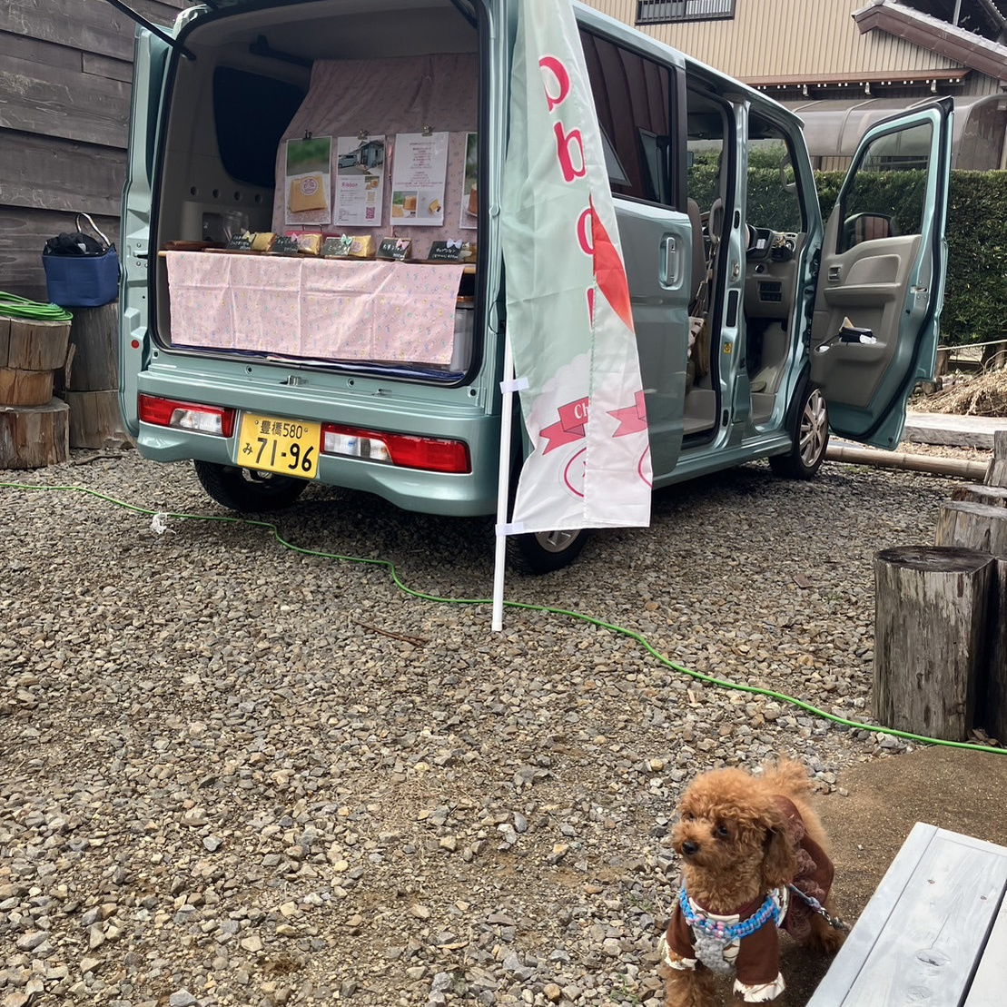 豊川市 ペットイベント