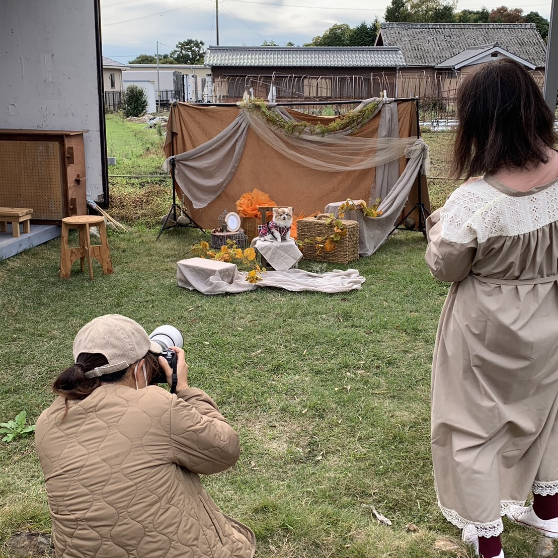 豊川市 ペットイベント