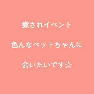 豊川市　ペットイベント