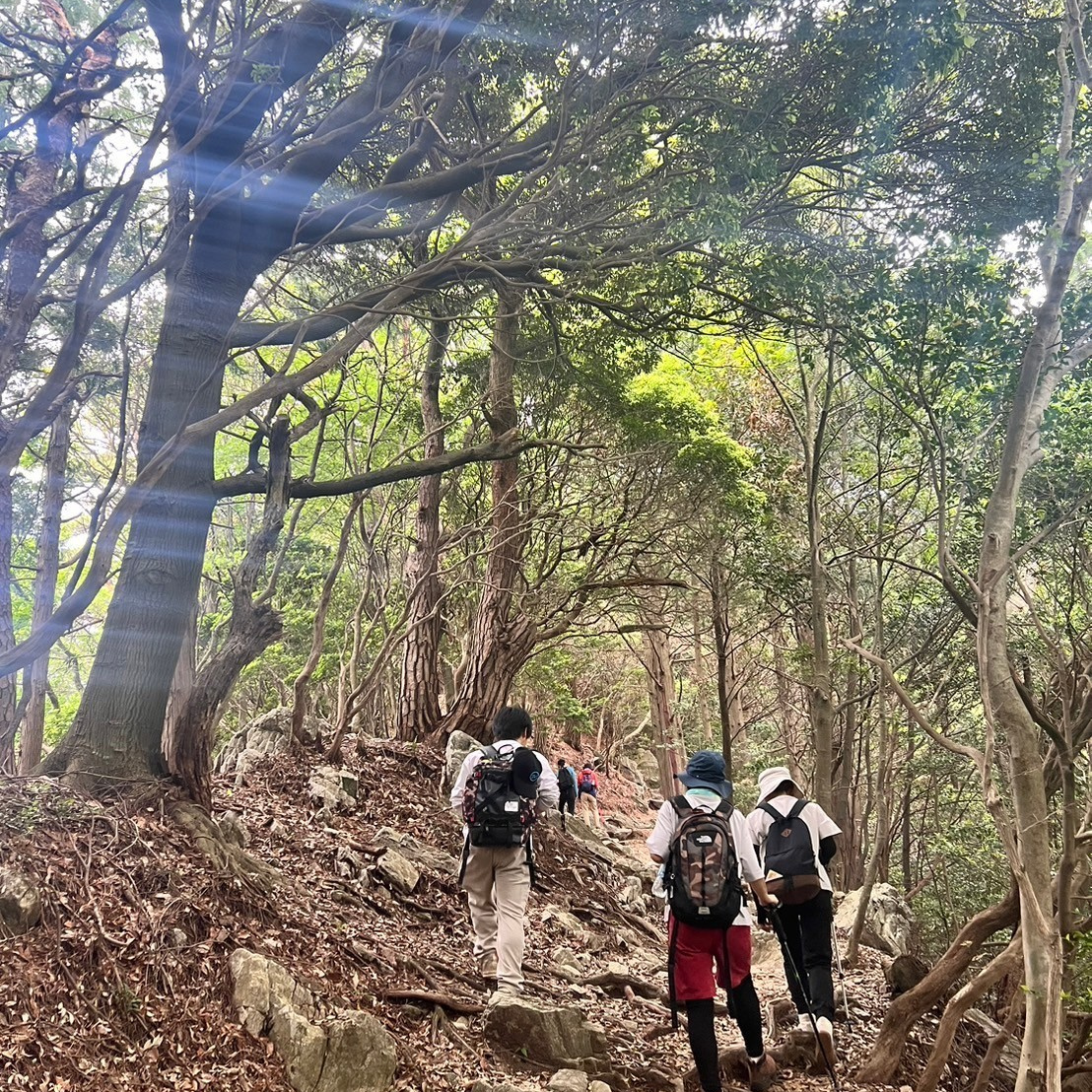 豊川市 本宮山登山