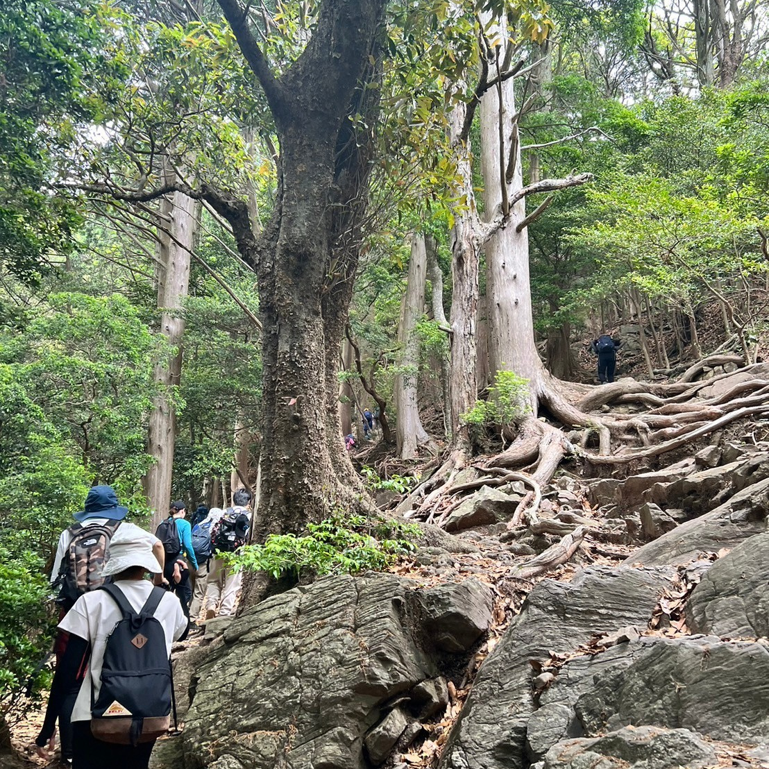 豊川市 本宮山登山