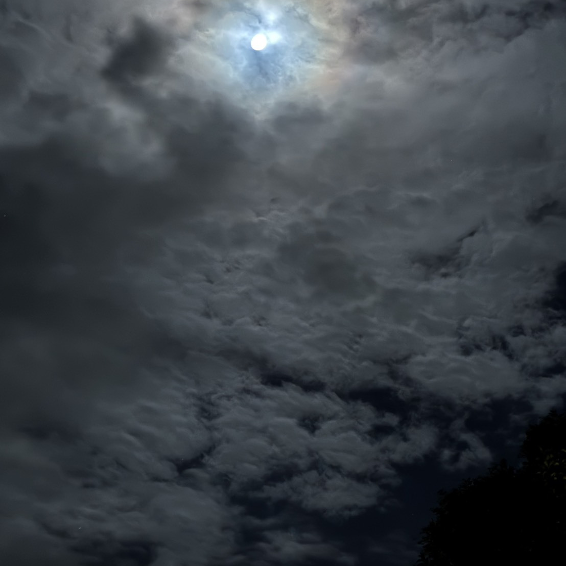 豊川市　ナイトイベント