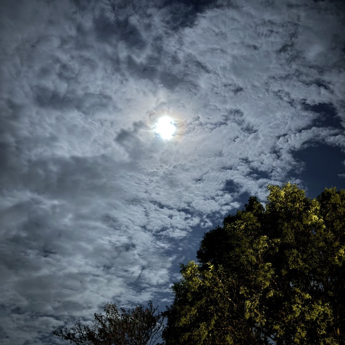 豊川市　ナイトイベント